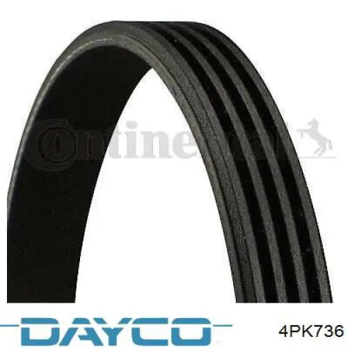 Купити 4PK736 Dayco Ремінь генератора