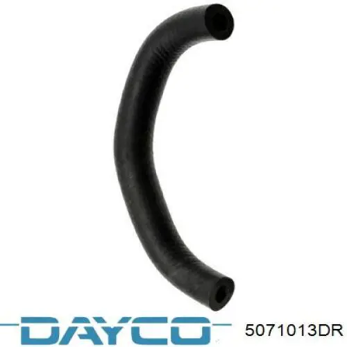 5071013DR Dayco Поліклиновий ремінь