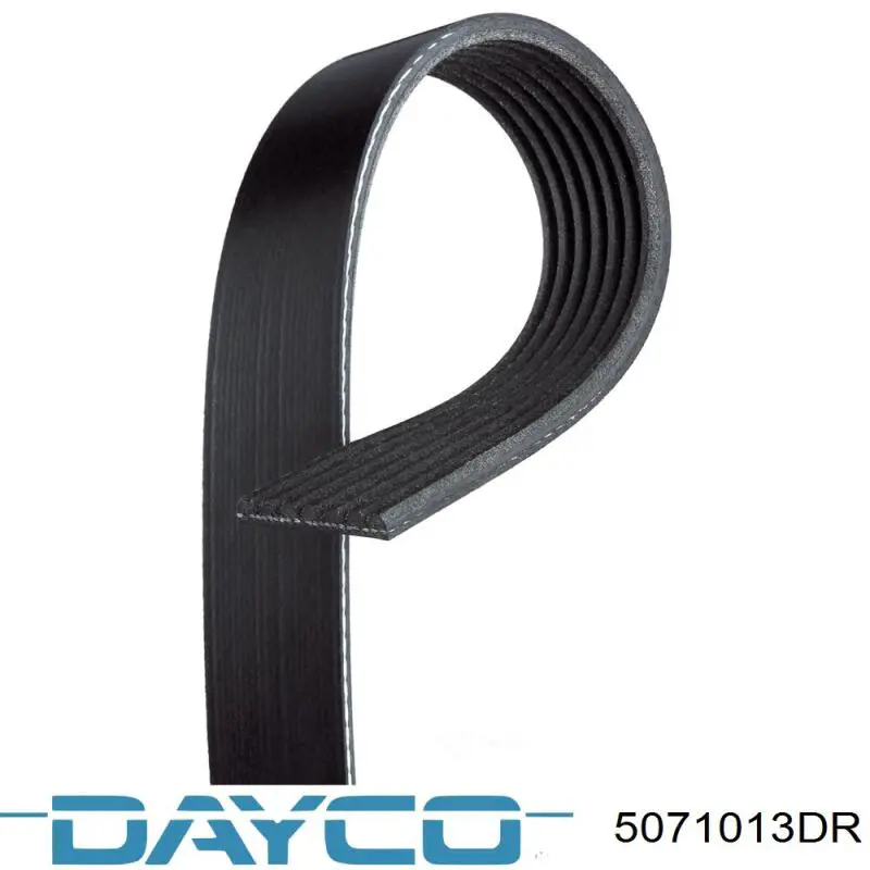5071013DR Dayco Поліклиновий ремінь