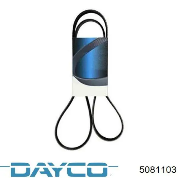  5081103 Dayco