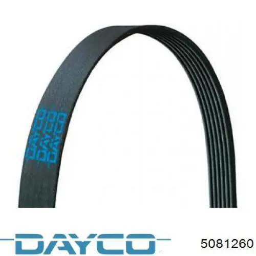  5081260DR Dayco