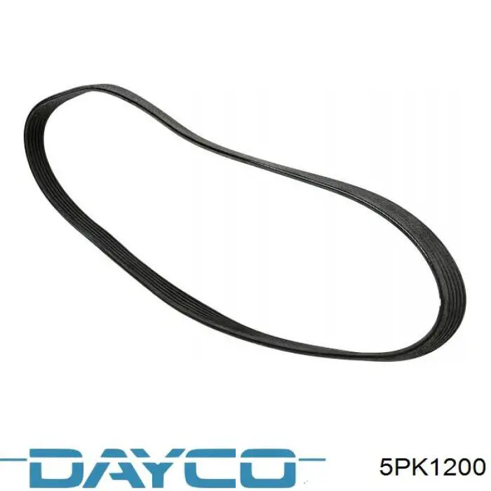 Купити 5PK1200 Dayco Ремінь генератора
