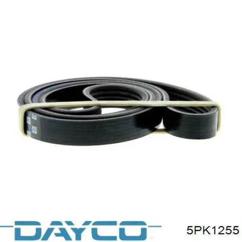 Клиновий ремінь Dayco 5PK1255 ціна, від 8.29 USD