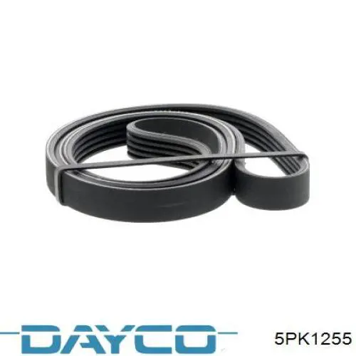 Купити 5PK1255 Dayco Ремінь генератора