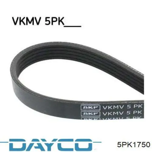 Клиновий ремінь Dayco 5PK1750 ціна, від 9.73 USD