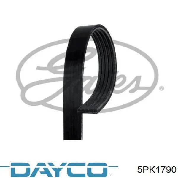 Купити 5PK1790 Dayco Ремінь генератора