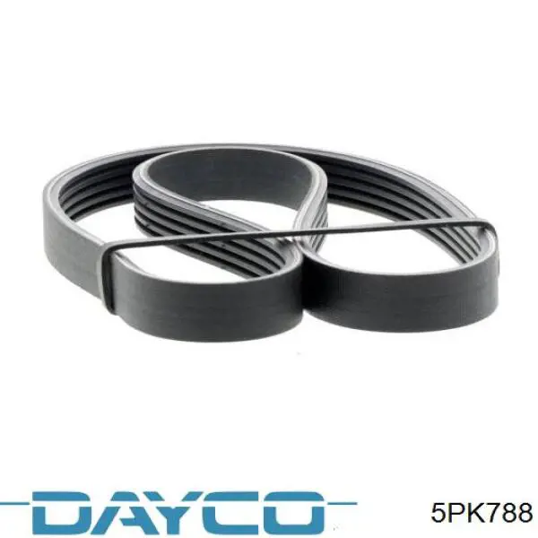 Купити 5PK788 Dayco Ремінь генератора