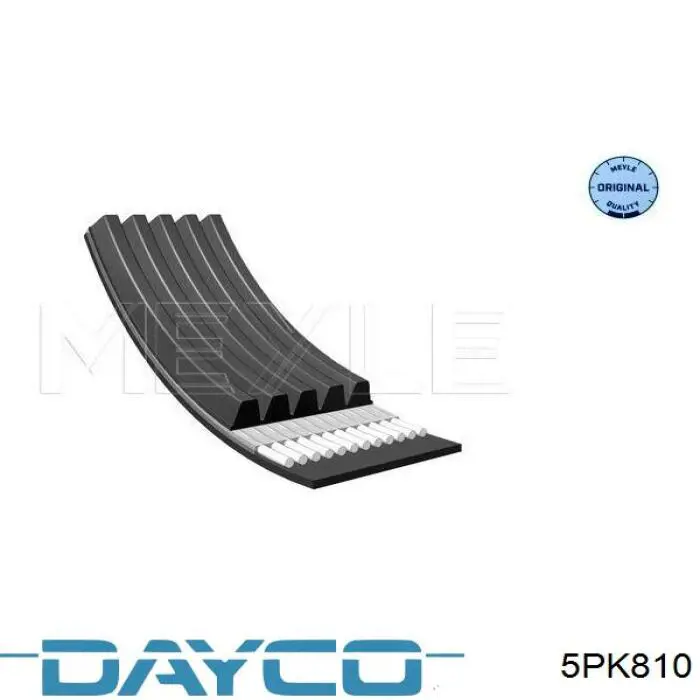 Купити 5PK810 Dayco Ремінь генератора