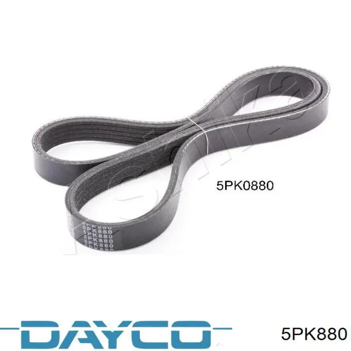 Клиновий ремінь Dayco 5PK880 ціна, від 6.16 USD