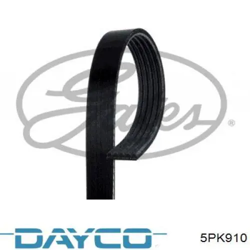 5PK910 Dayco Поліклиновий ремінь