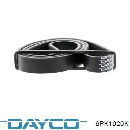 Клиновий ремінь Dayco 6PK1020K ціна, від 10.15 USD