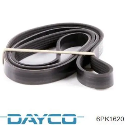 Клиновий ремінь Dayco 6PK1620 ціна, від 12.40 USD