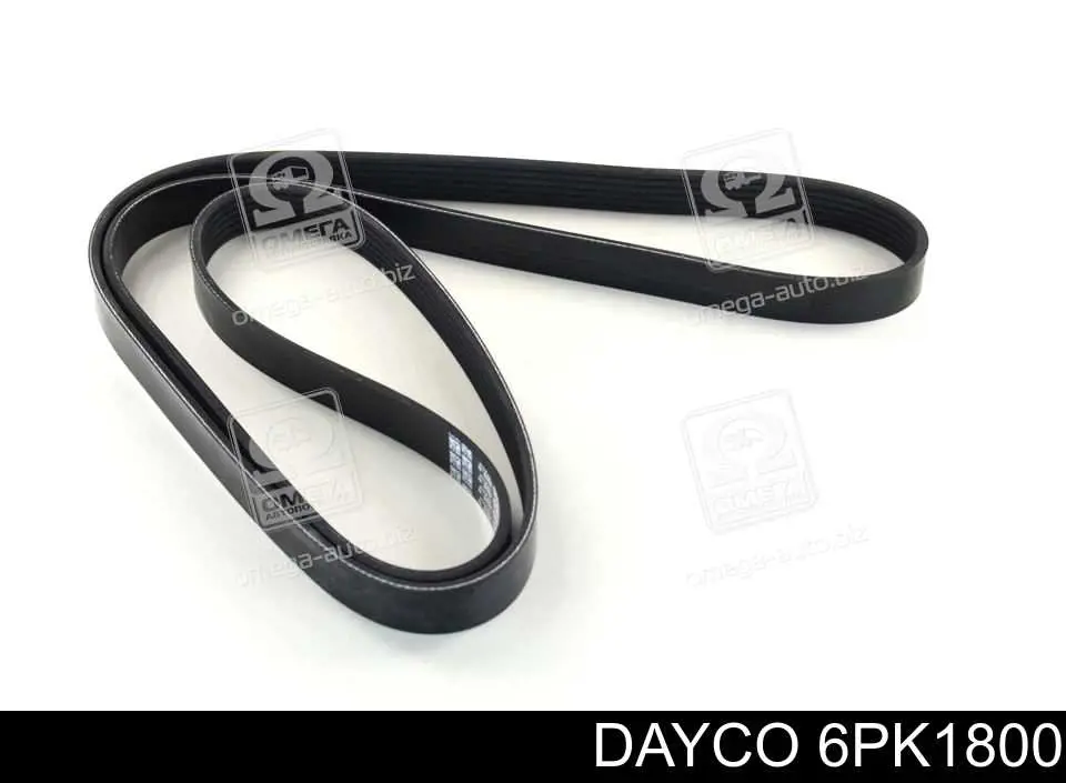 Клиновий ремінь Dayco 6PK1800 ціна, від 15.29 USD