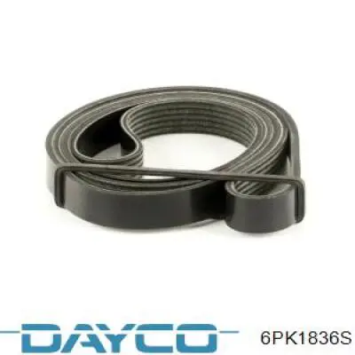Купити 6PK1836S Dayco Ремінь генератора