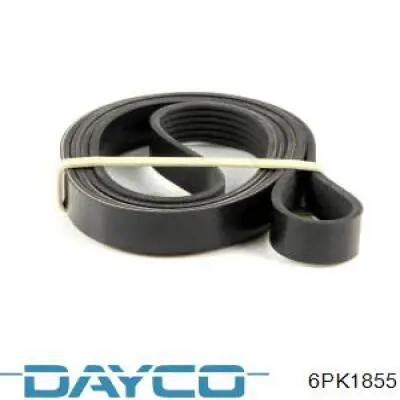 Клиновий ремінь Dayco 6PK1855 ціна, від 15.57 USD