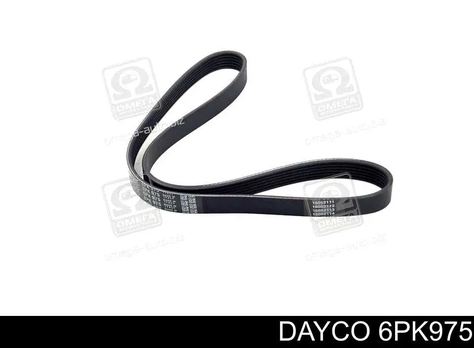Купити 6PK975 Dayco Ремінь генератора