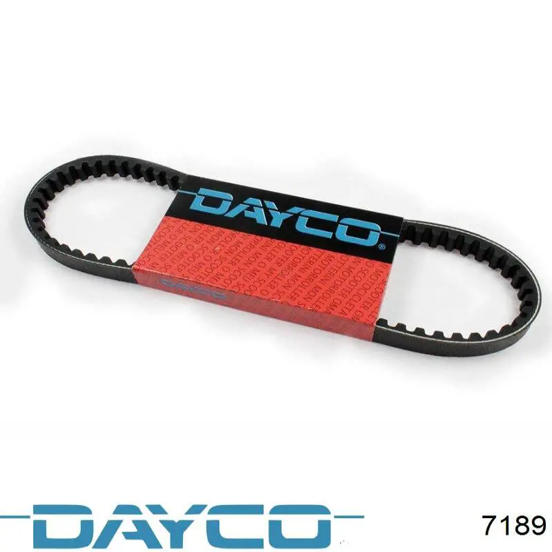  7189 Dayco