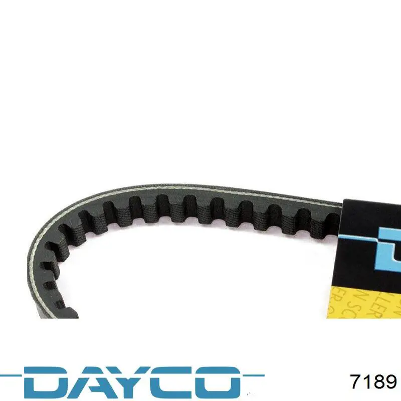 7189 Dayco 