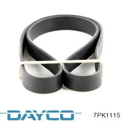Купити 7PK1115 Dayco Ремінь генератора