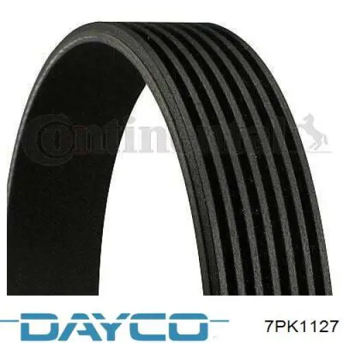Купити 7PK1127 Dayco Ремінь генератора