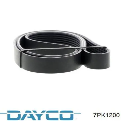 7PK1200 Dayco Поліклиновий ремінь