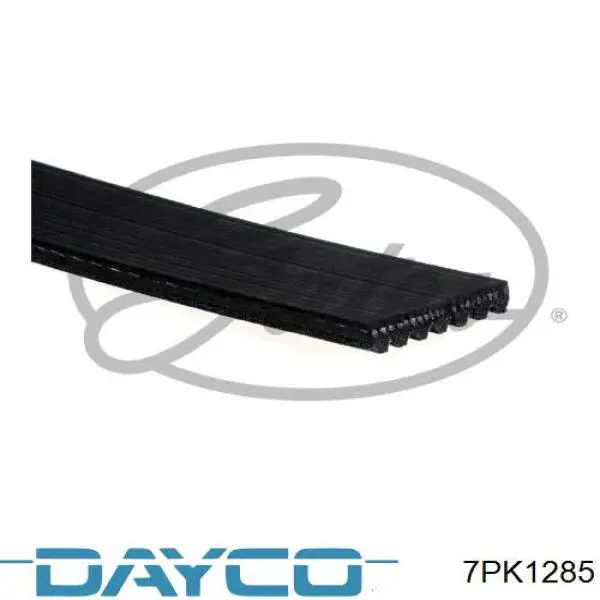 Клиновий ремінь Dayco 7PK1285 ціна, від 15.38 USD