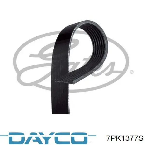 Клиновий ремінь Dayco 7PK1377S ціна, від 14.11 USD