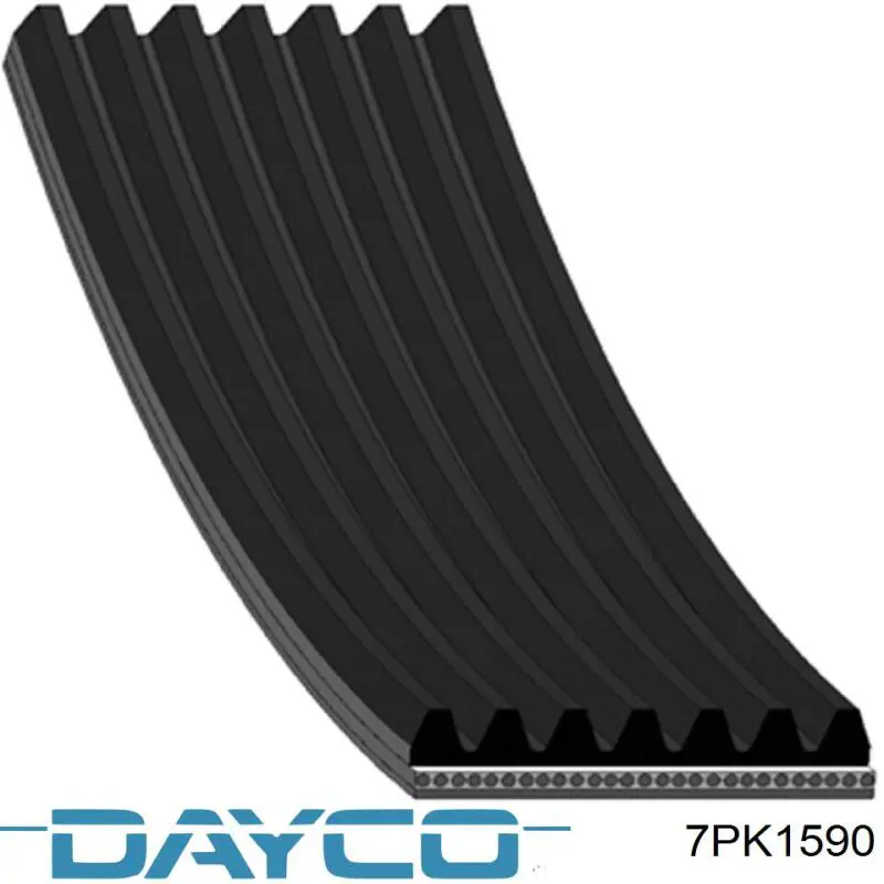 Клиновий ремінь Dayco 7PK1590 ціна, від 16.51 USD