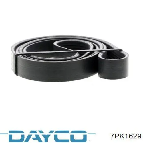 Купити 7PK1629 Dayco Ремінь генератора