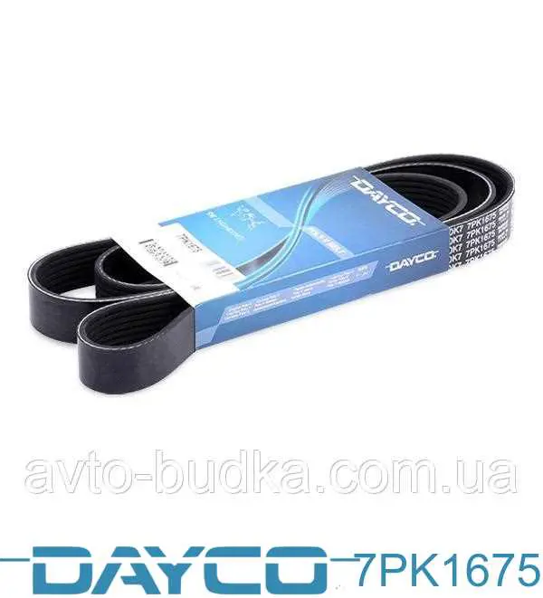 Клиновий ремінь Dayco 7PK1675 ціна, від 17.19 USD