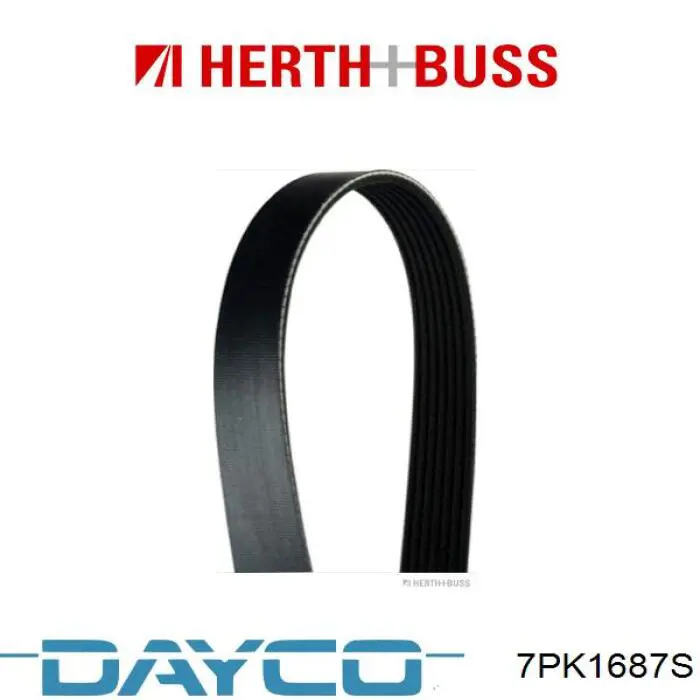 Купити 7PK1687S Dayco Ремінь генератора