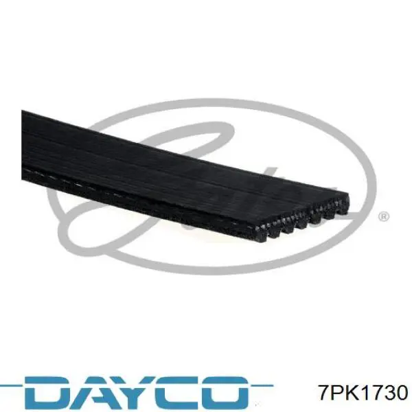 Купити 7PK1730 Dayco Ремінь генератора