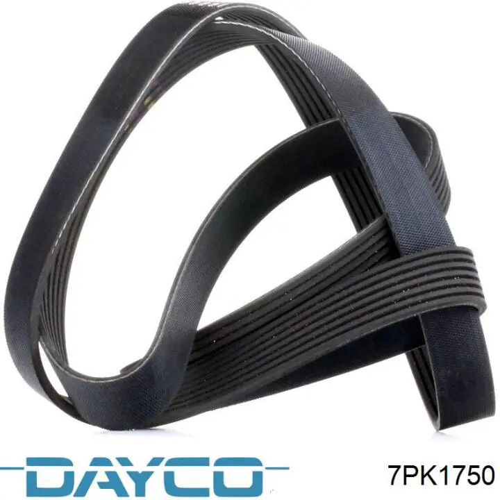 Клиновий ремінь Dayco 7PK1750 ціна, від 17.59 USD