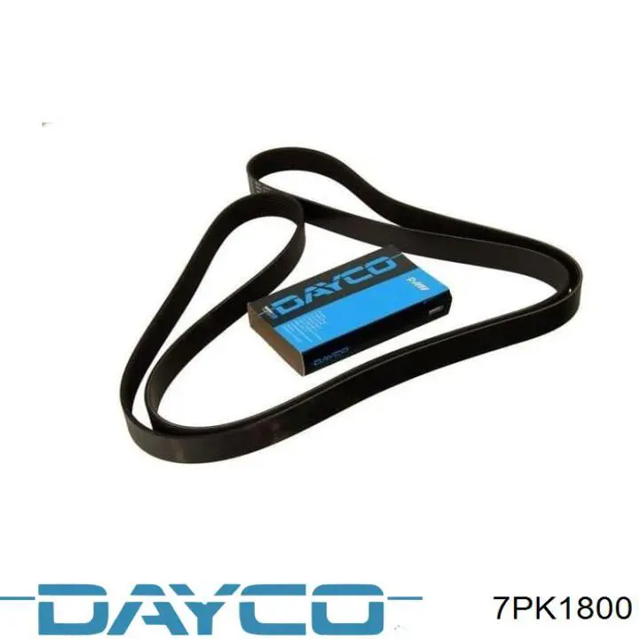Клиновий ремінь Dayco 7PK1800 ціна, від 18.82 USD