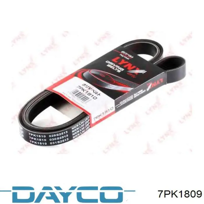 Клиновий ремінь Dayco 7PK1809 ціна, від 19.30 USD