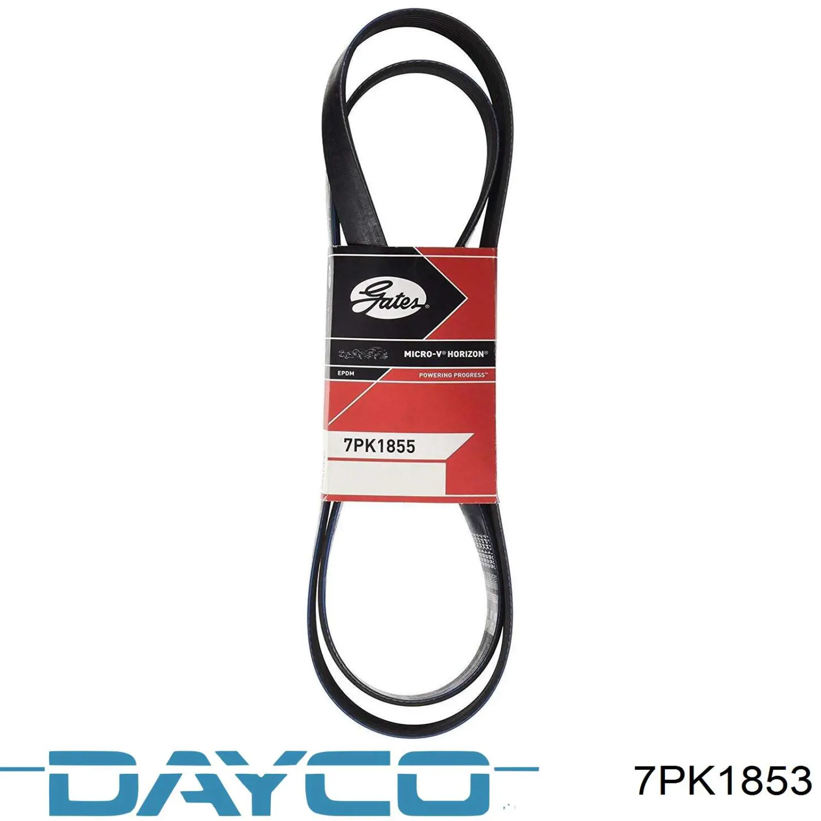 Клиновий ремінь Dayco 7PK1853 ціна, від 18.48 USD