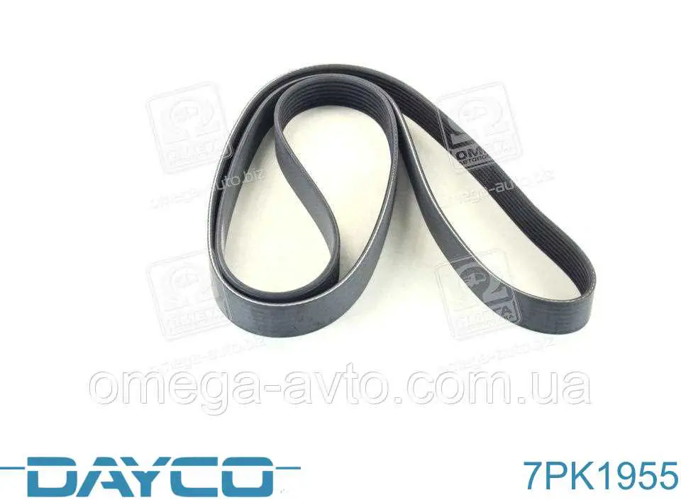 Клиновий ремінь Dayco 7PK1955 ціна, від 16.44 USD