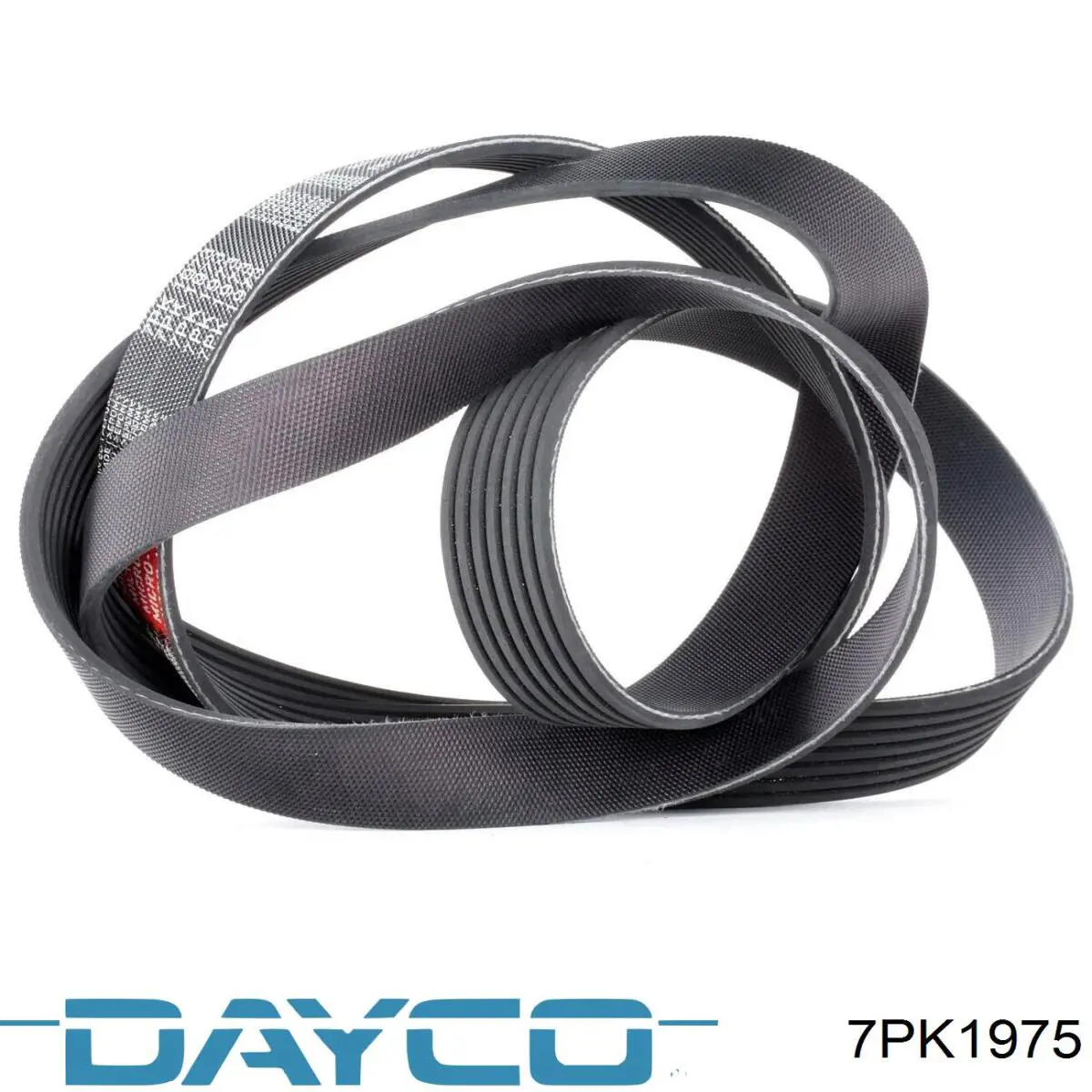 Купити 7PK1975 Dayco Ремінь генератора