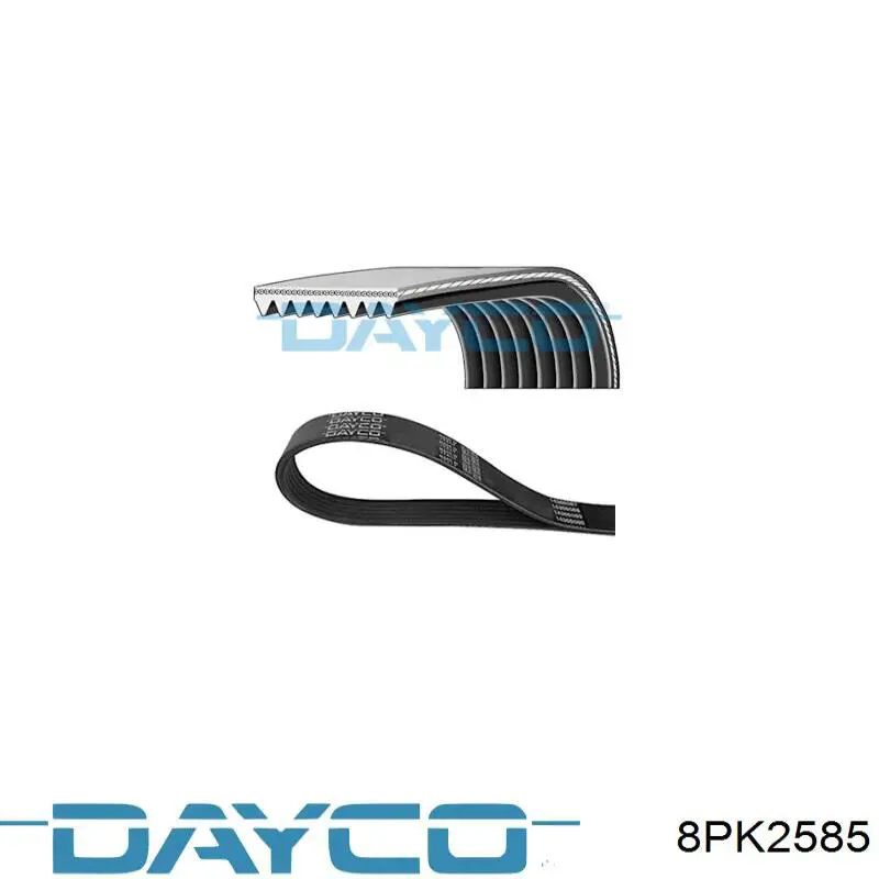 Клиновий ремінь Dayco 8PK2585 ціна, від 24.51 USD