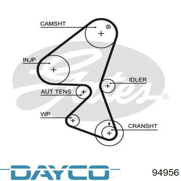 Купити 94956 Dayco Ремінь газорозподільного механізму