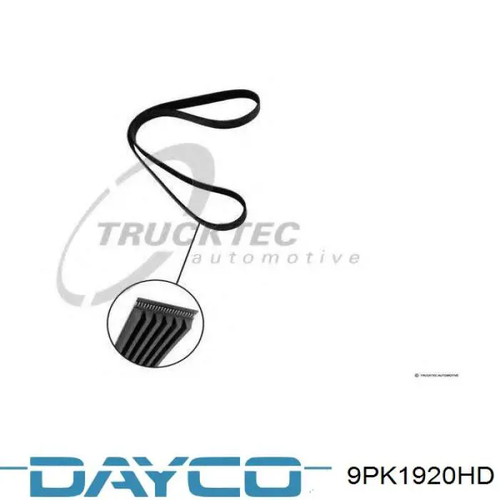 Купити 9PK1920HD Dayco Ремінь генератора