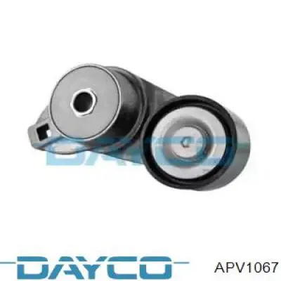 Натягувач приводного ременя Dayco APV1067
