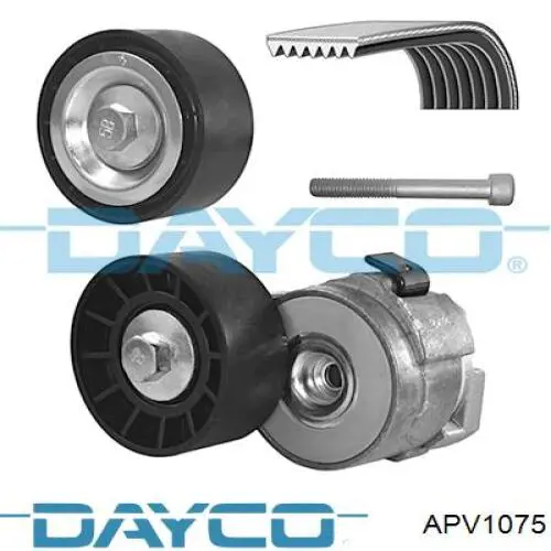 Купити APV1075 Dayco Натягувач приводного ременя