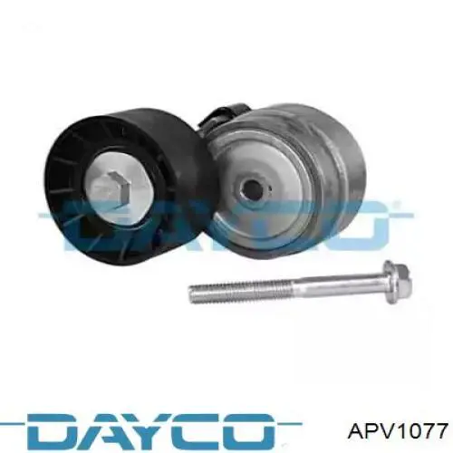 Купити APV1077 Dayco Натягувач приводного ременя