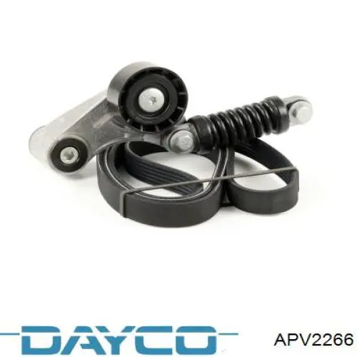 Натягувач приводного ременя APV2266 Dayco