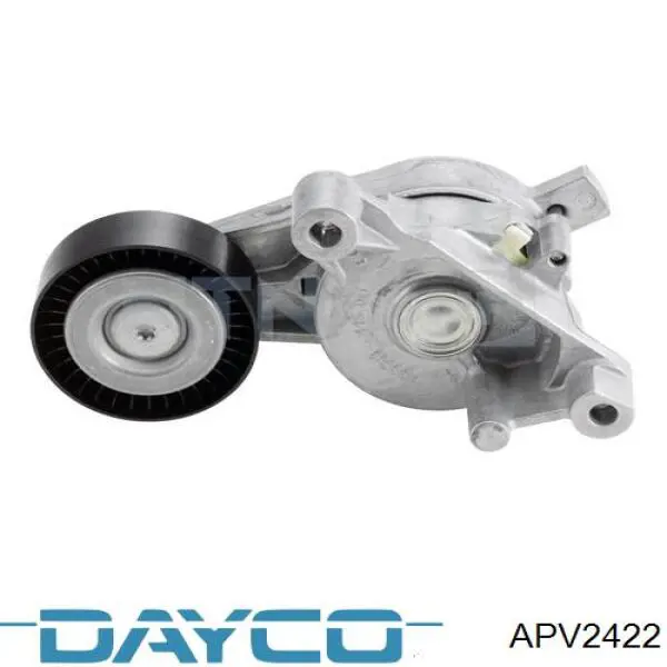Купити APV2422 Dayco Натягувач приводного ременя