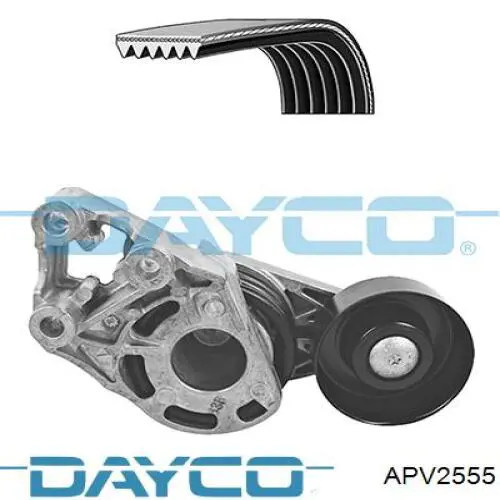 APV2555 Dayco натягувач приводного ременя