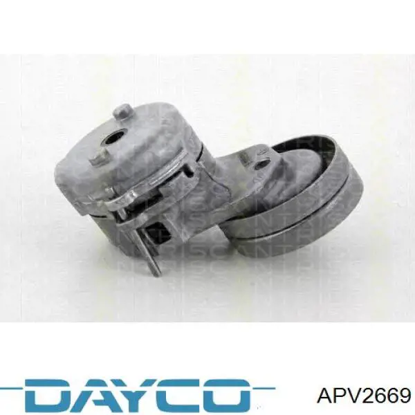 APV2669 Dayco Натяжна планка поліклинового ременя