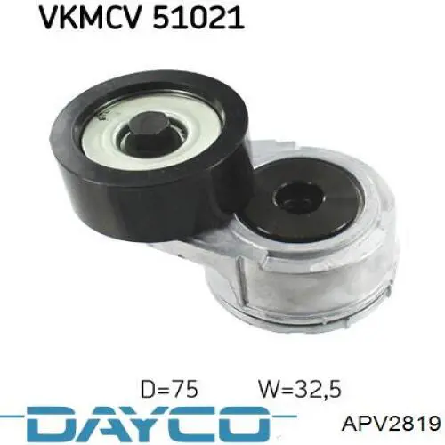 Насос гідравлічної системи/амортизаторів APV2819 DAYCO