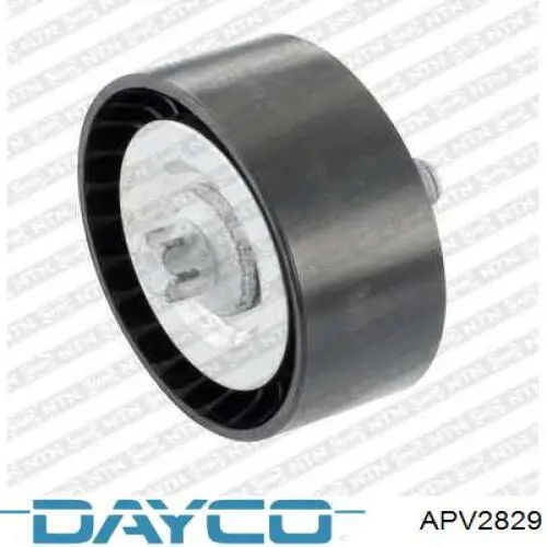 APV2829 Dayco Ролик приводного ременя, паразитний